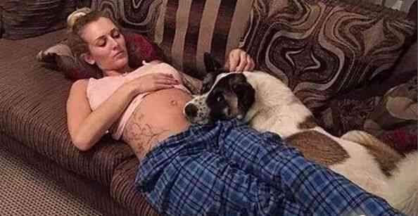 主人怀孕时狗狗经常顶她肚子，去医院检查后医生傻了！