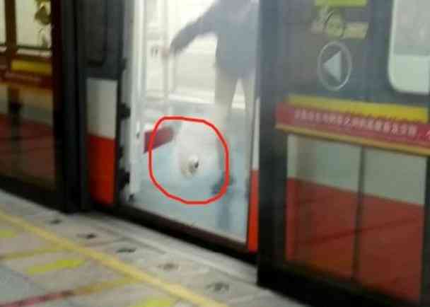广州地铁车厢突然冒烟乘客紧急疏散